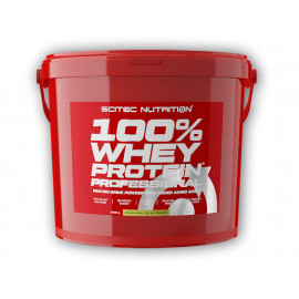 100% Whey Protein Professional 5000g - Vanille