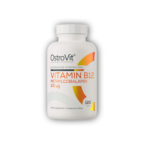 Vitamin B12 Methylcobalamin 100mcg 120 Tabletten