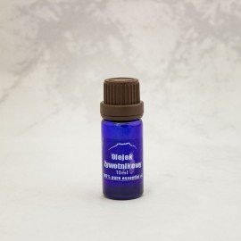 Thujaöl 100% - 10ml