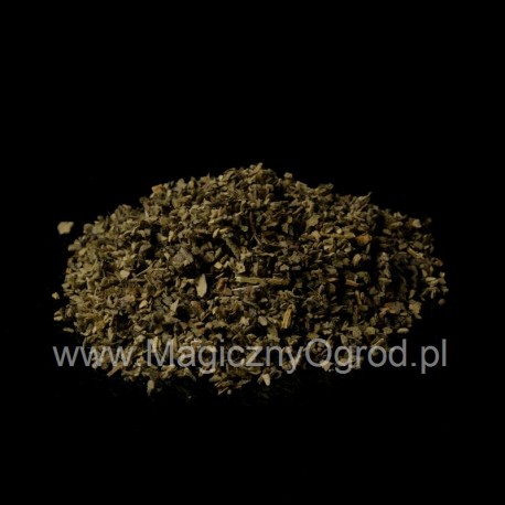 Königskerze Top - Verbascum thapsiforme - 250g