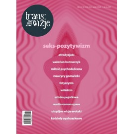 Trans/Vision 6