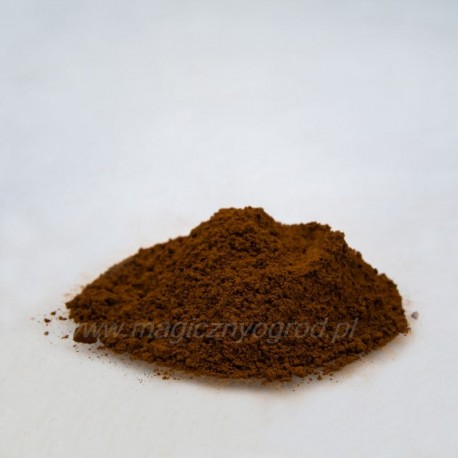 Chaga - Inonotus obliquus - 100g gehackt