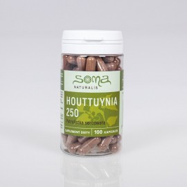 Houttuynia cordata Kapseln 250 mg x 100 Kapseln