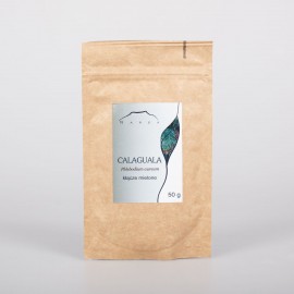 Calaguala Rhizom - Phlebodium aureum - 50g gemahlen