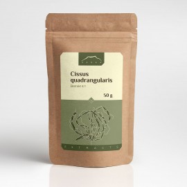 Cissus quadrangularis Extrakt 4:1 - 50g