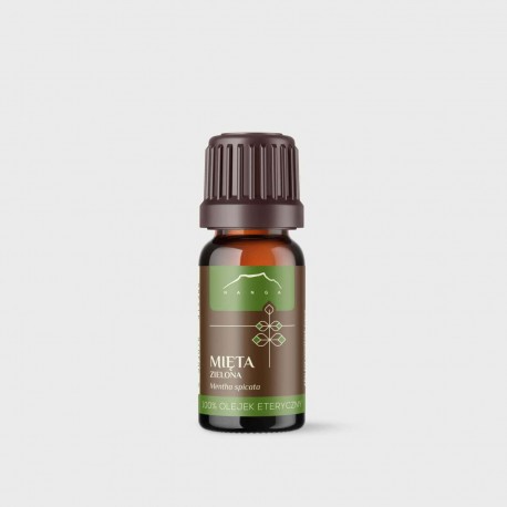 Mentha Spicata Öl - 100% ätherisches Öl - 10ml - Mentha Spicata