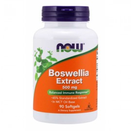 Boswellia-Extrakt 500 mg - NOW Foods, 90cps