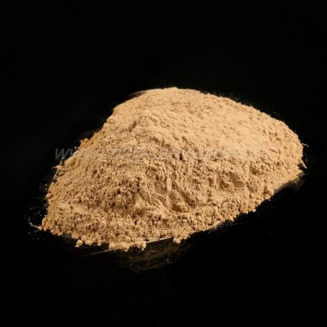 Quebracho-Rinde - Aspidosperma quebracho - 50g gemahlen