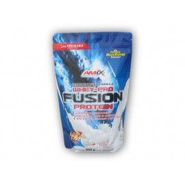 WheyPro Fusion Protein 500g Beutel - Schokolade