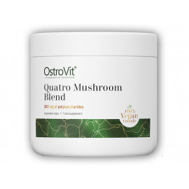 Quatro Pilzmischung 50g