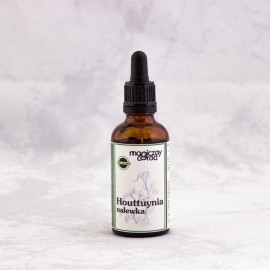 Houttuynia cordata Tinktur 1:1 50 ml - 50ml