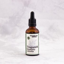 Astragalus Membranen Tinktur 1:1 50 ml - Astragalus membranaceus