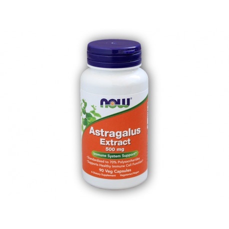 Astragalus Extrakt (Kozinec) 500mg 90 kapslí